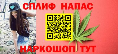 МДПВ Будённовск