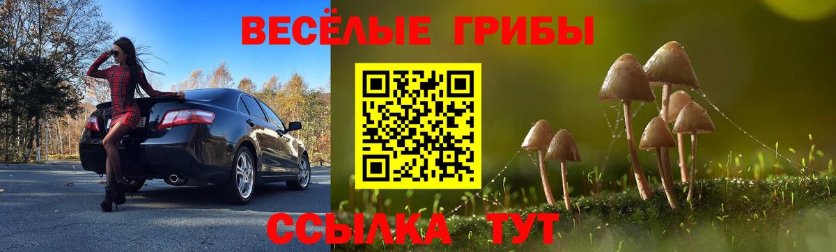 Набережные Челны  Галлюциногенные грибы Cubensis  Вход с VPN 